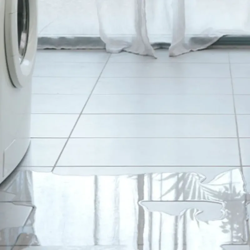 Appliance Leak Cleanup in Lake Stevens, WA
